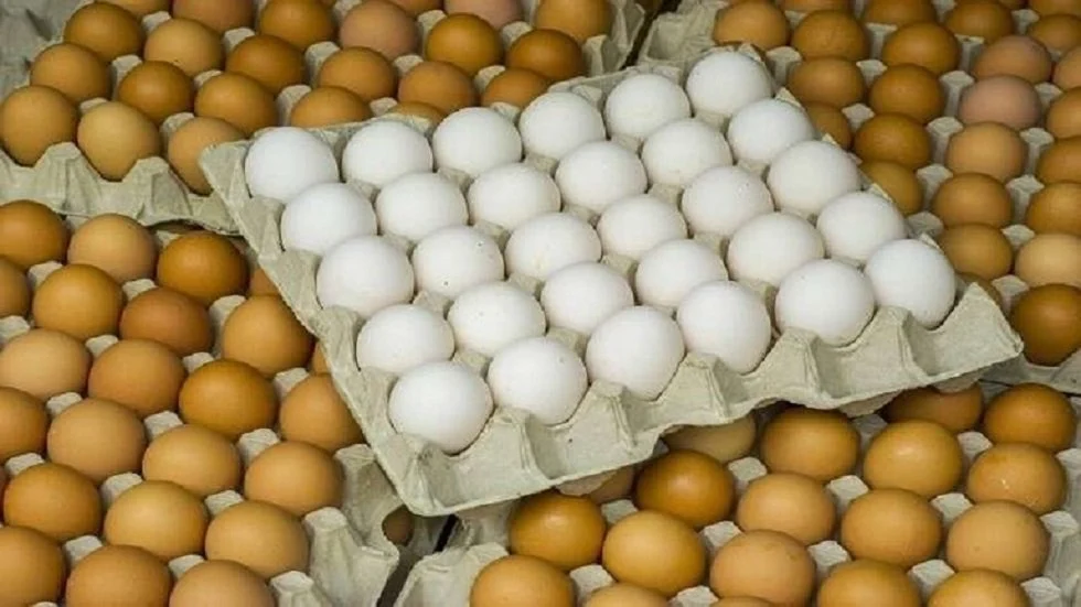 سعر كرتونة البيض يوم الأربعاء 26 فبراير للبائع والمستهلك حسب المطروح في السوق صباح اليوم