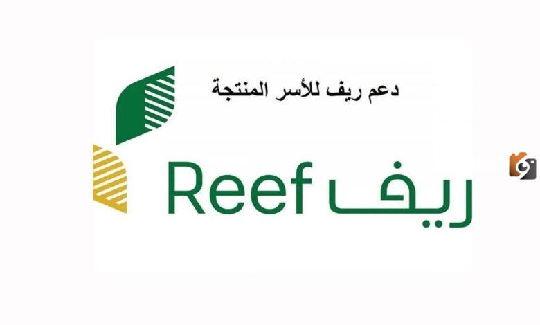 شروط القبول في دعم ريف