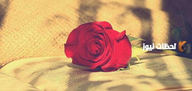 شعر عيد ميلاد حبيبي رومانسي جدا