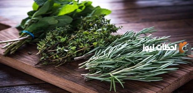 علاج ارتفاع وظائف الكلى بالاعشاب