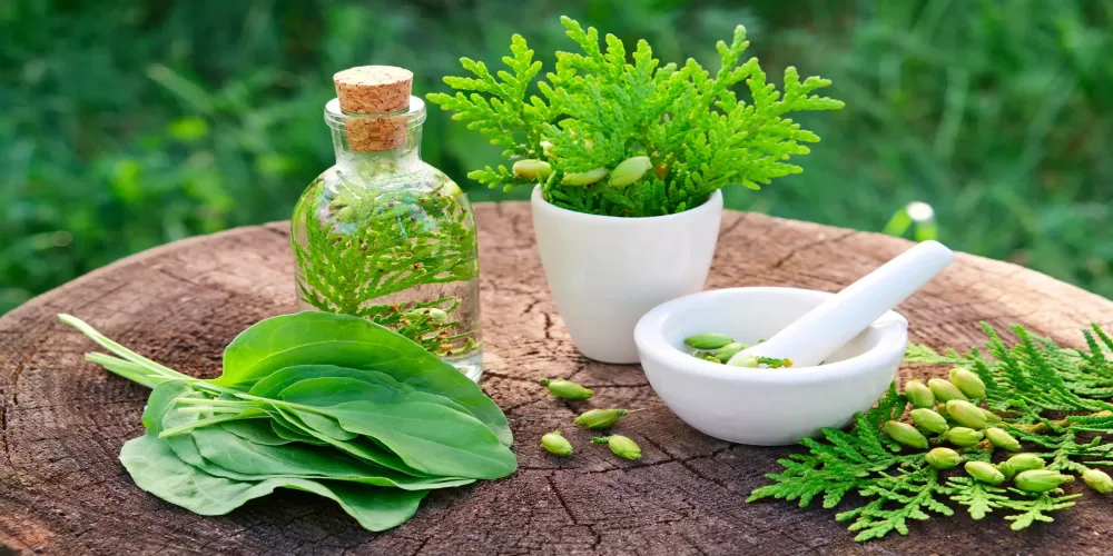 علاج التهاب اللوزتين بالأعشاب للكبار والصغار
