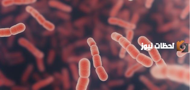 علاج الميكروب السبحى وتخفيف أعراضه بالاعشاب من المنزل