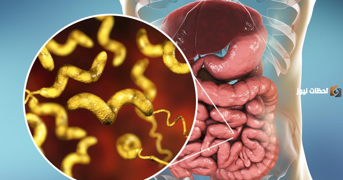 علاج النزلة المعوية للكبار بالاعشاب والمشروبات الطبيعية