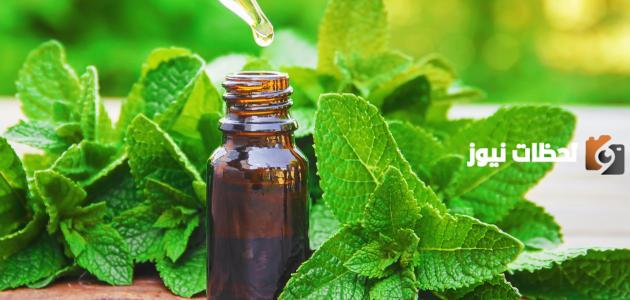 علاج تليف الذكر بالاعشاب بوصفات طبيعية منزلية.. علاج مرض بيروني