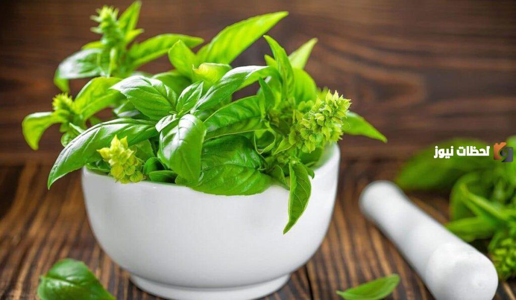 علاج حصوات المرارة بالاعشاب في المنزل