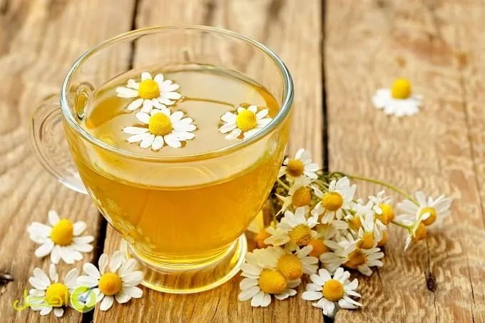 علاج رعشة الجسم بالأعشاب الطبيعية عند كبار السن منزليا