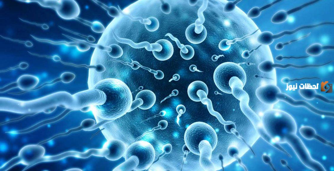 علاج ضعف حركة الحيوان المنوي بالأعشاب للدكتور سعيد حساسين بوصفات طبيعية منزلية