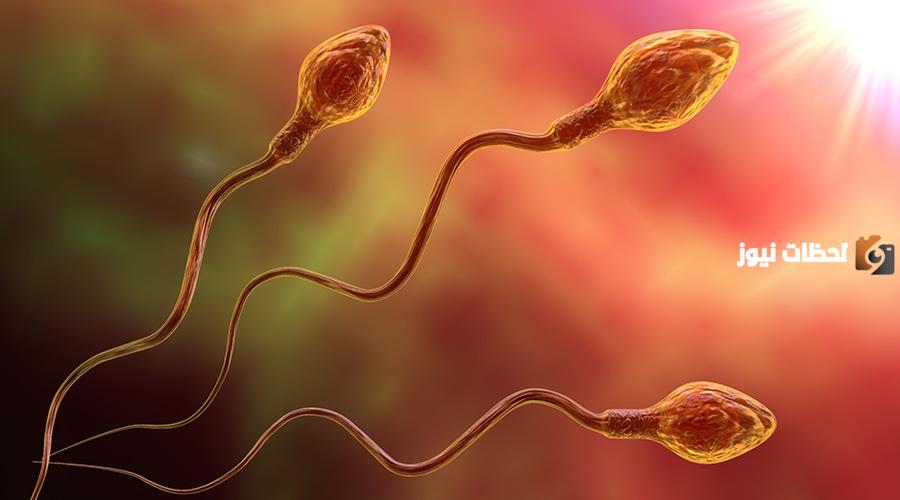 علاج ضعف حركة الحيوانات المنوية بالاعشاب في المنزل بوصفة طبيعية مجربة