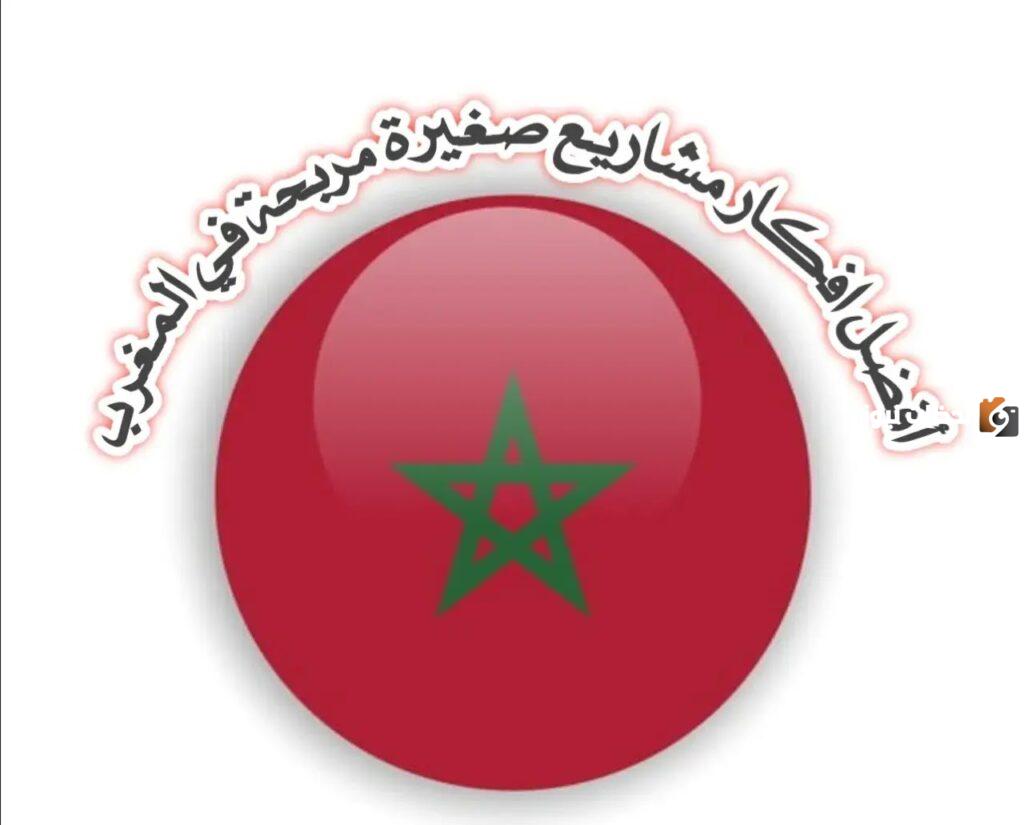 فكرة مشروع ناجح في المغرب