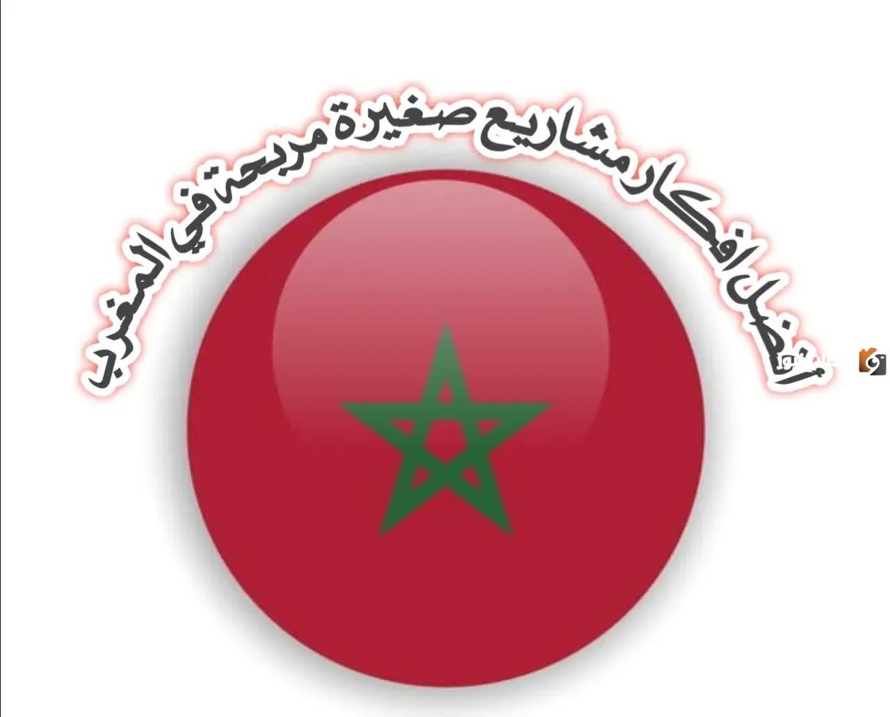 فكرة مشروع ناجح في المغرب