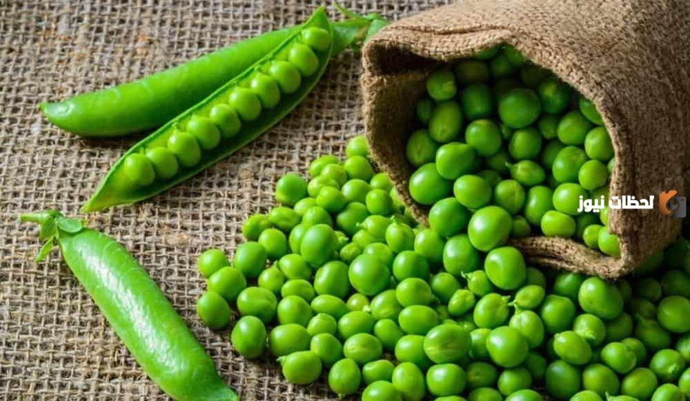 خصائص نبات البازيلاء من واقع تجارب مندل