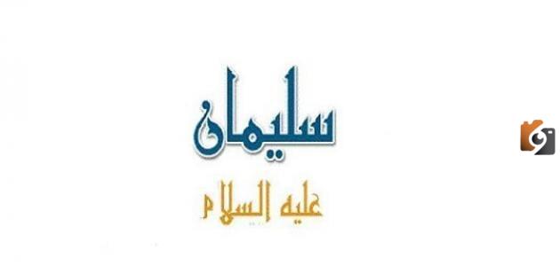 قصة سليمان بين تسخير الحيوانات والشياطين
