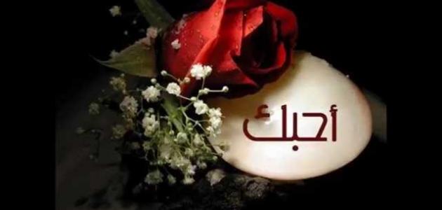 كلام جميل عن الحب الصادق