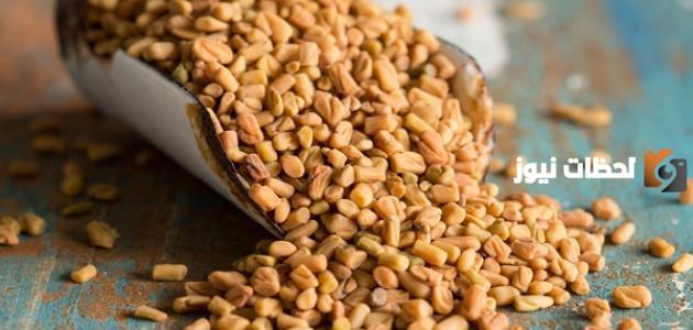 كيف أتناول الحلبة لزيادة الوزن وطرق استخدام الحلبة