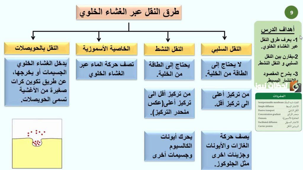 ما الفرق بين النقل السلبي والنقل النشط