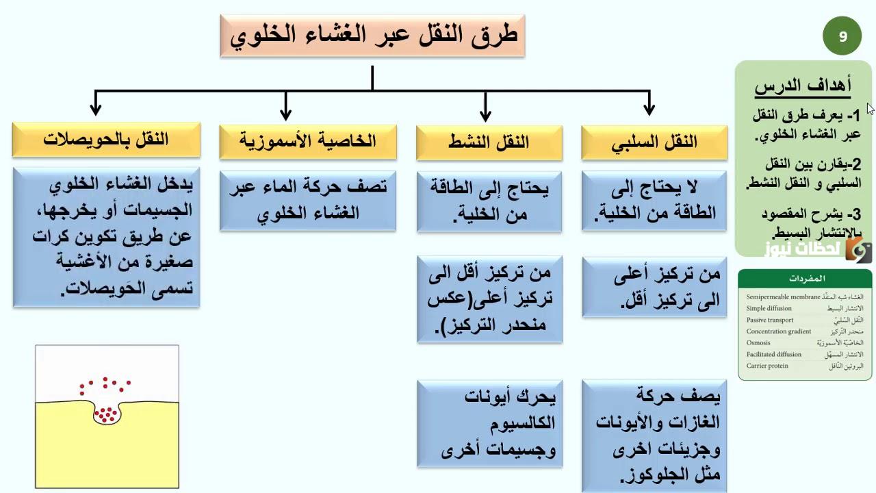 ما الفرق بين النقل السلبي والنقل النشط