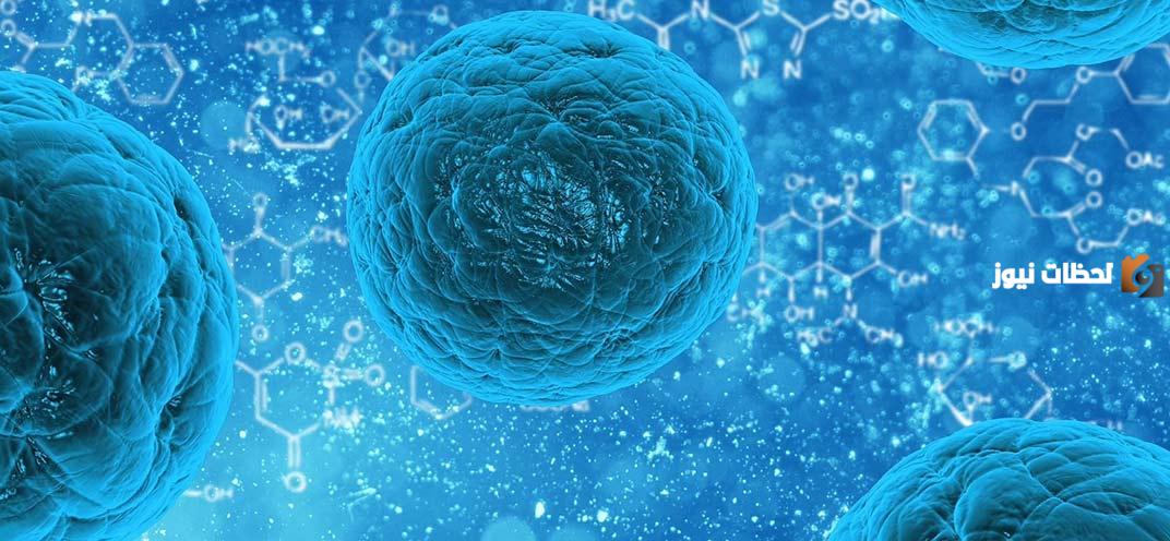 ما هو العضو المسؤول عن إفراز الإنسولين في الجسم؟!