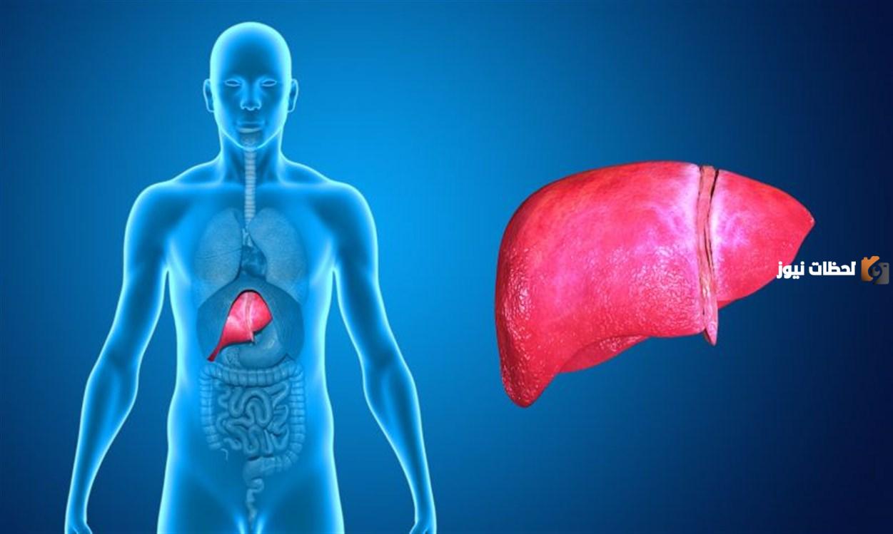 ما هي العلاقة بين الكبد واصفرار العين