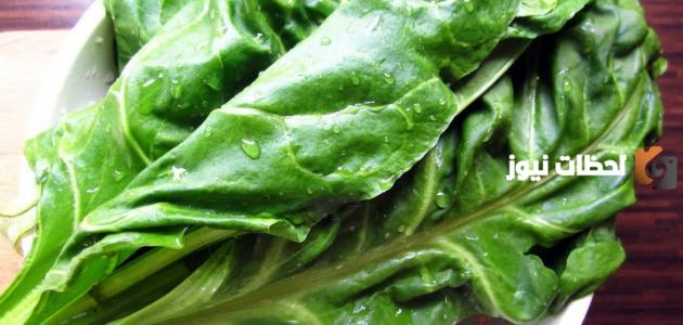 ما هي فوائد السبانخ للرجيم1