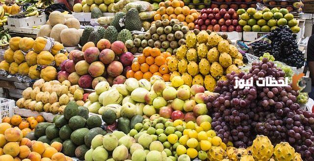 دراسة جدوى مشروع تجارة الفواكه والخضروات بالجملة جاهزة للطباعة