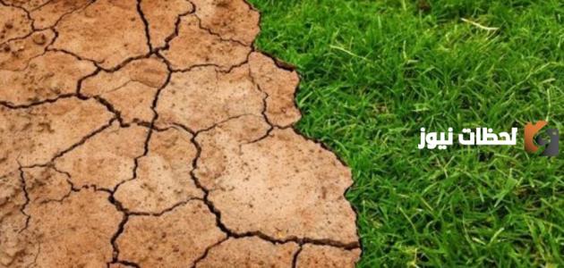 مظاهر تدهور التنوع البيولوجي وأبرز الأمثلة عليه