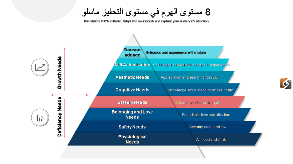 معلومات عن هرم ماسلو