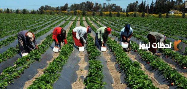 مقومات التنمية الزراعية