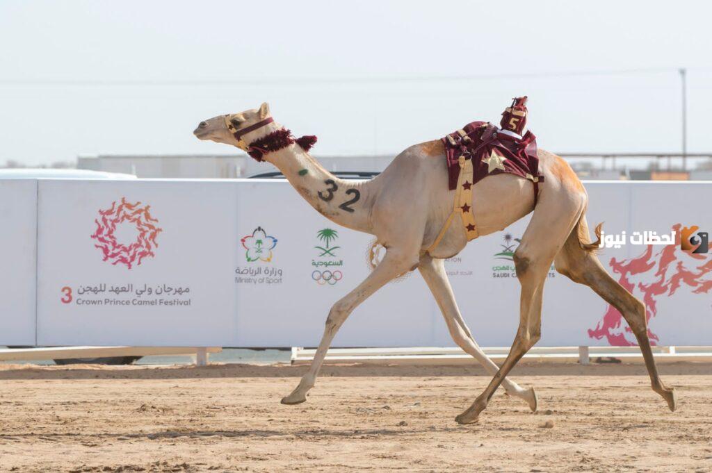 موعد اطلاق مهرجان الطائف لأول مرة في السعودية