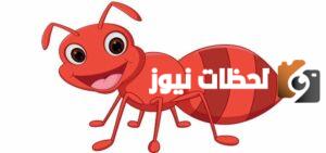 نكت عن النمل مضحكه جدا