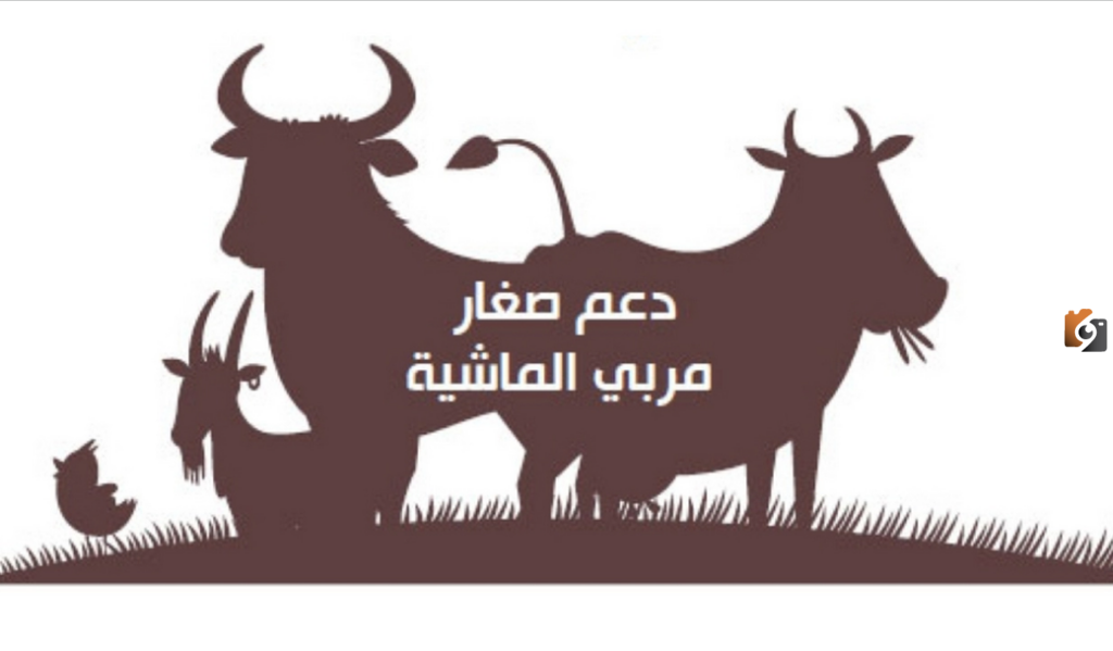 هل يمكن لغير المؤهلين في دعم المواشي