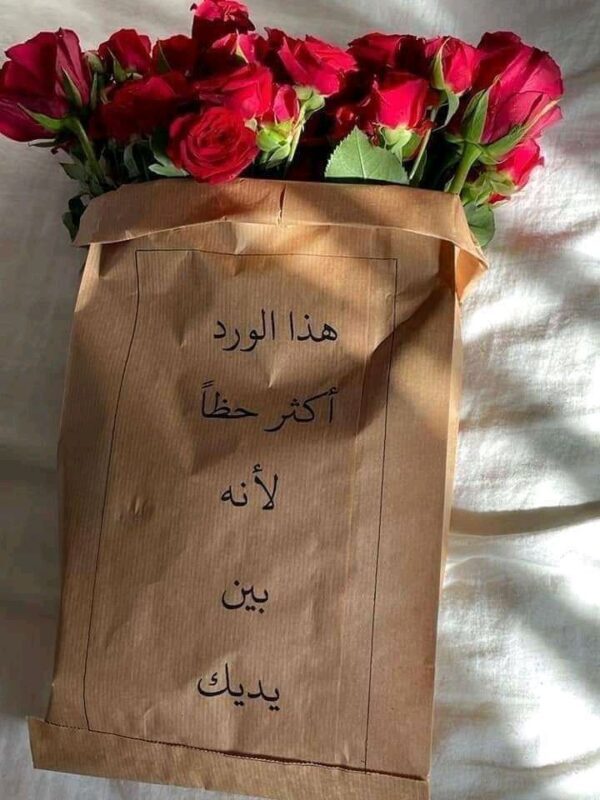 أجمل رسالة اعتذار لحبيبتي الغالية