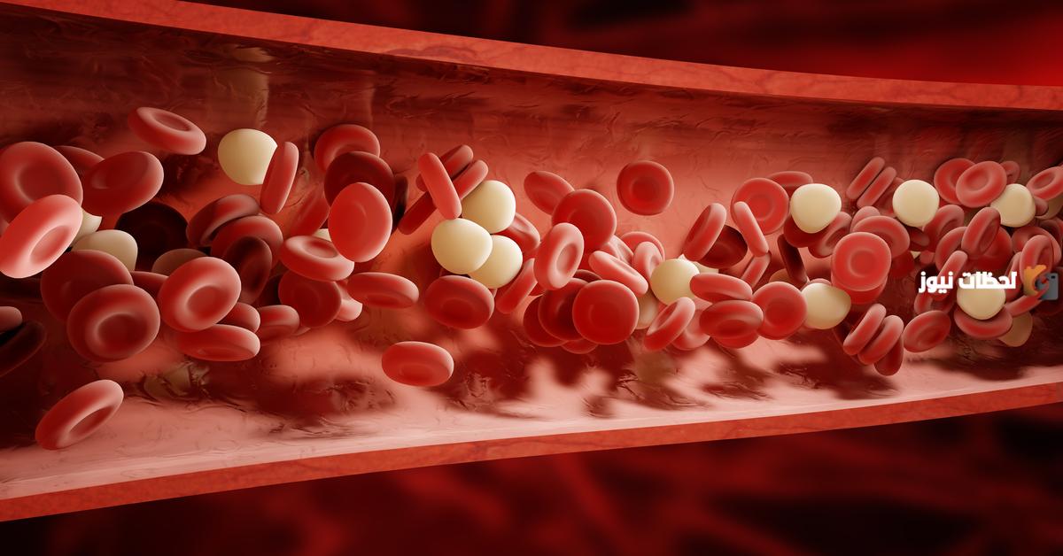 أين يخزن الدم في الجسم ومن المسؤول عن إنتاج الدم؟!