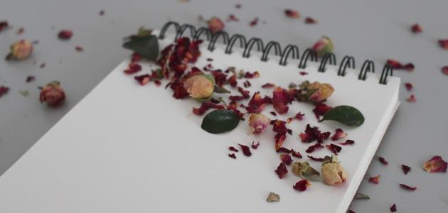 اجمل رسائل انتهاء العام الدراسي