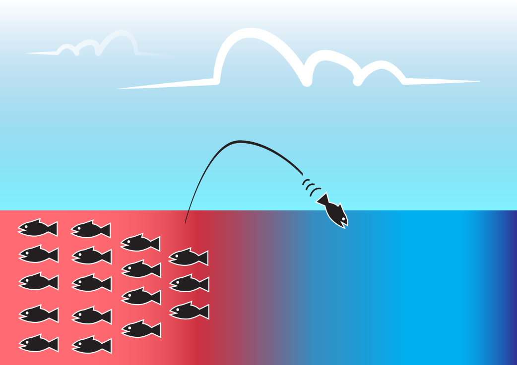  استراتيجية المحيط الأزرق في عالم التسويق