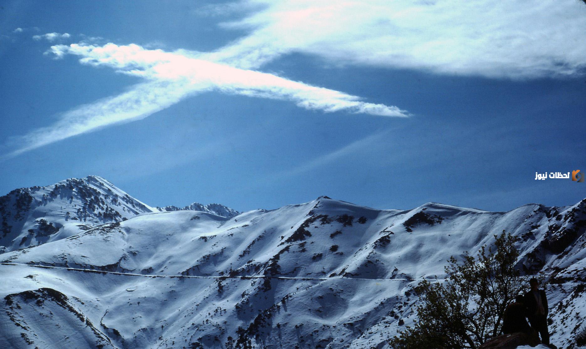 المناخ القاري في الجزائر وخصائصه النباتية والزراعية