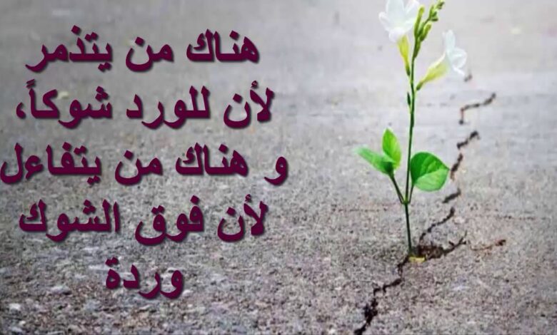 حكم عن التفاؤل والأمل