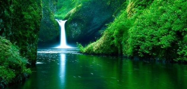 خواطر عن الجنة