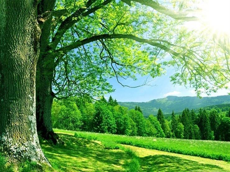 خواطر عن الجنة