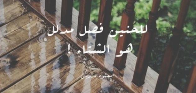 خواطر ليل الشتاء