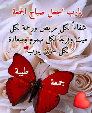 رسائل صباحية جميلة للواتس