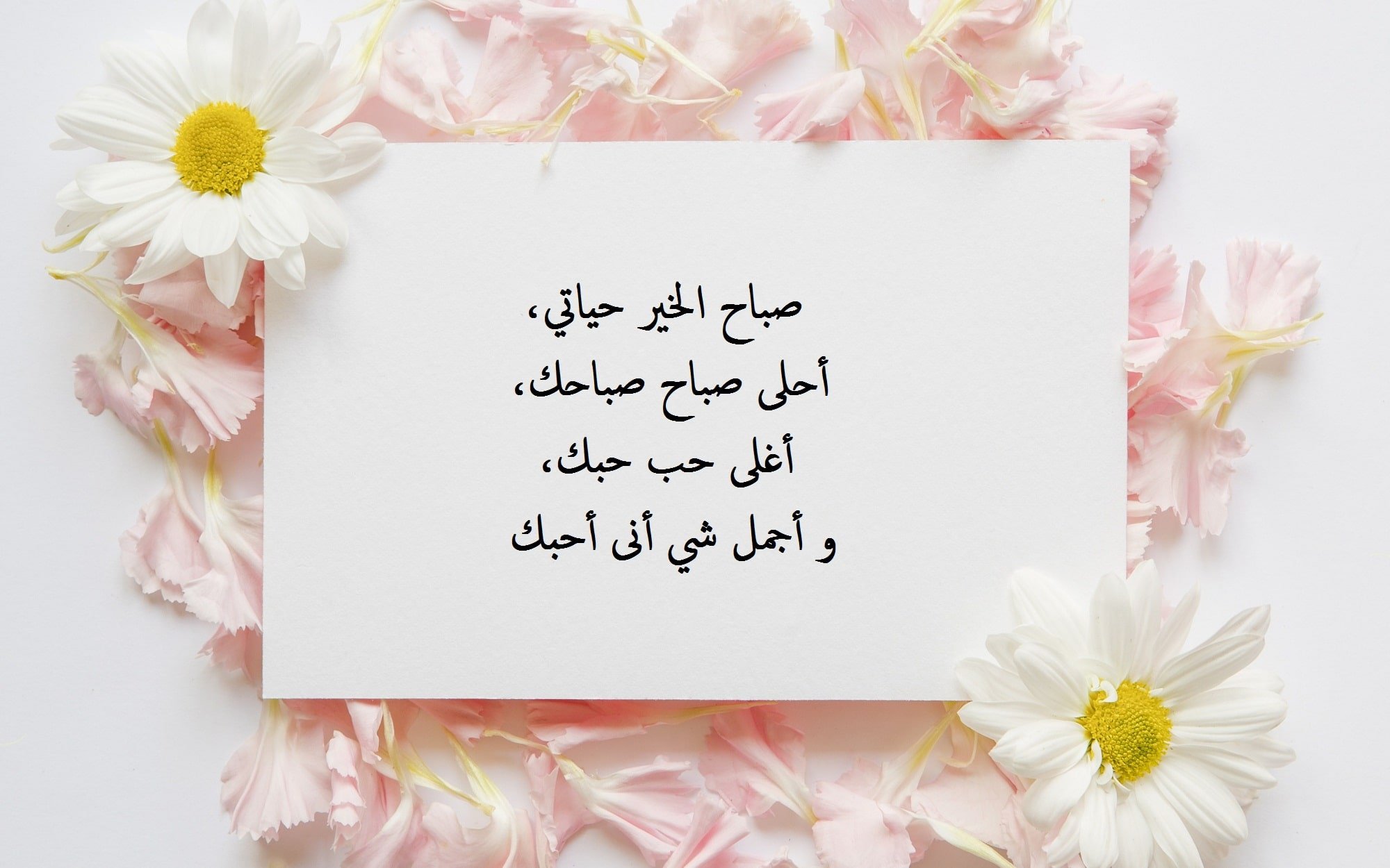 رسائل صباحية للعشاق رومانسية