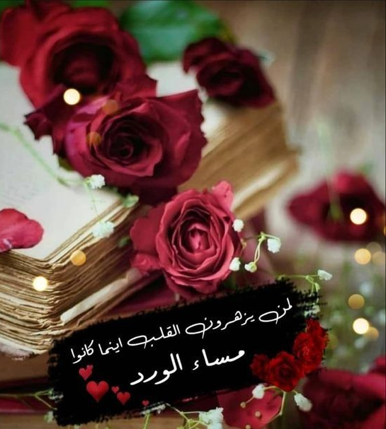 رسائل مسائية للحبيب قصيرة