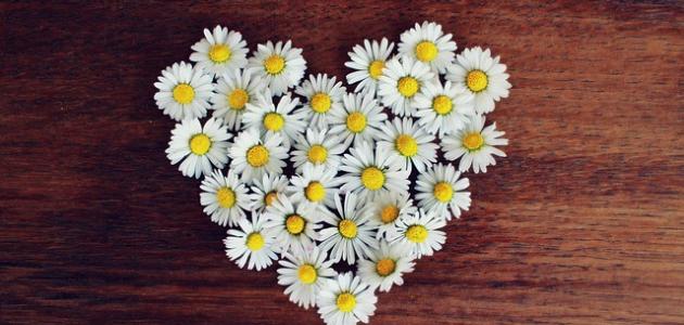 رسائل ومسجات عن التسامح