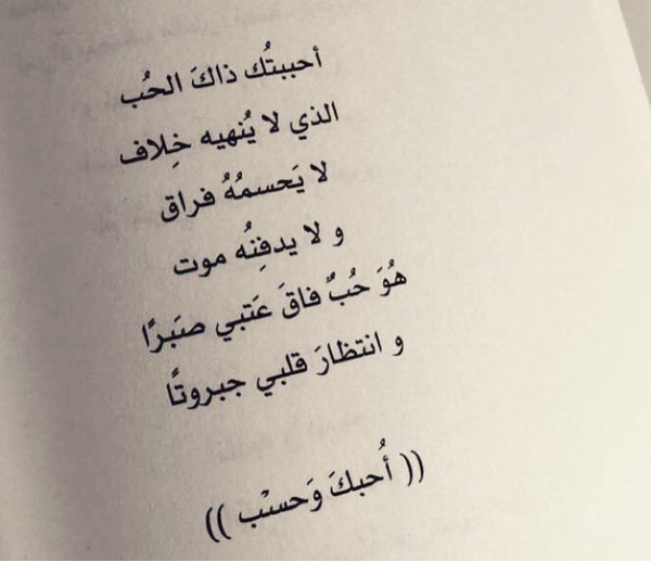 رسالة إلى صديقي الغائب 