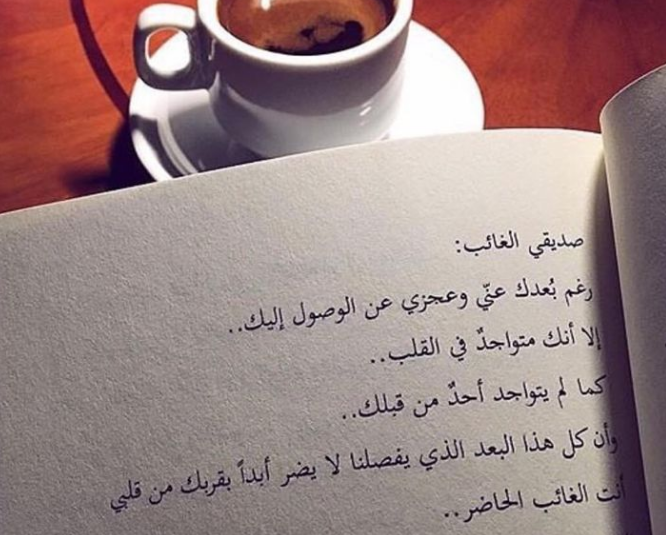 رسالة إلى صديقي الغائب 