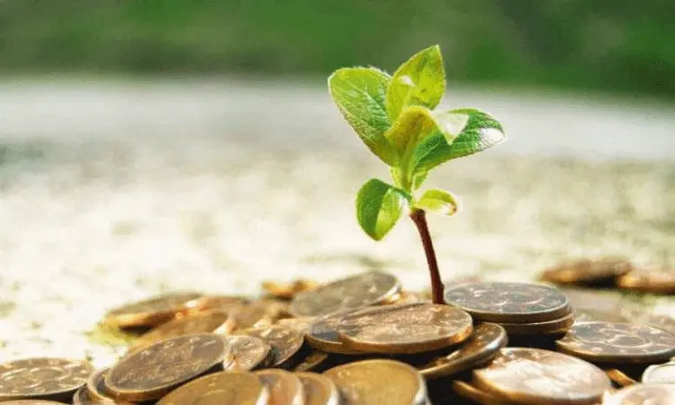 زكاة رمضان هذا العام