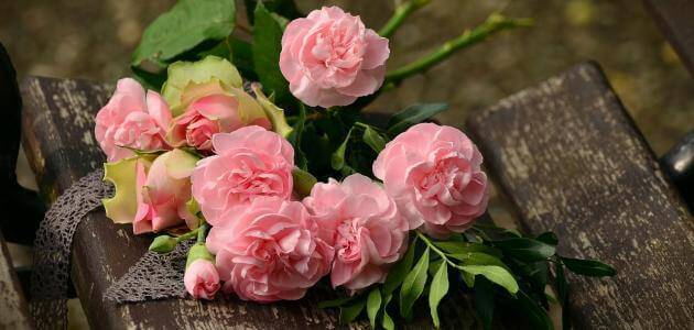 شكر للمعلمة في يوم المعلم 