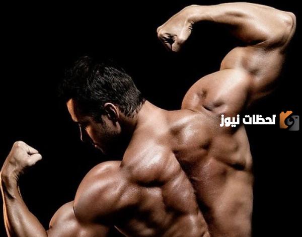  طريقة تقسيم عضلات الجسم