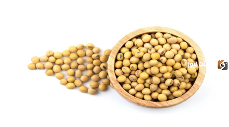 فوائد الصوجا لزيادة الوزن