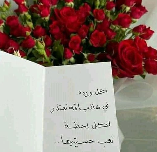 كلام اعتذار قوي للحبيب